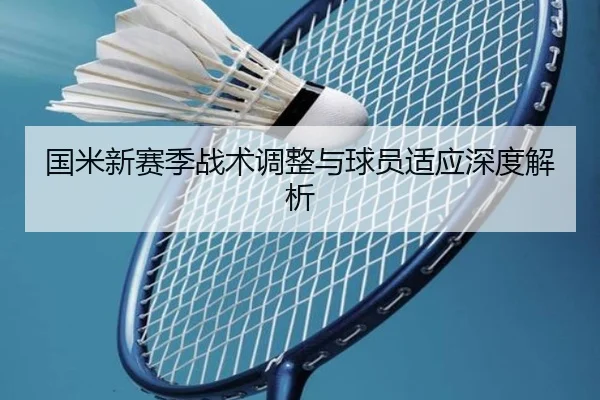 国米新赛季战术调整与球员适应深度解析